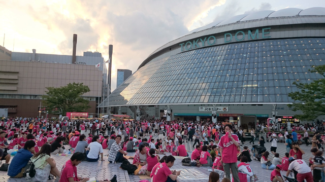 東京ドームカープファン