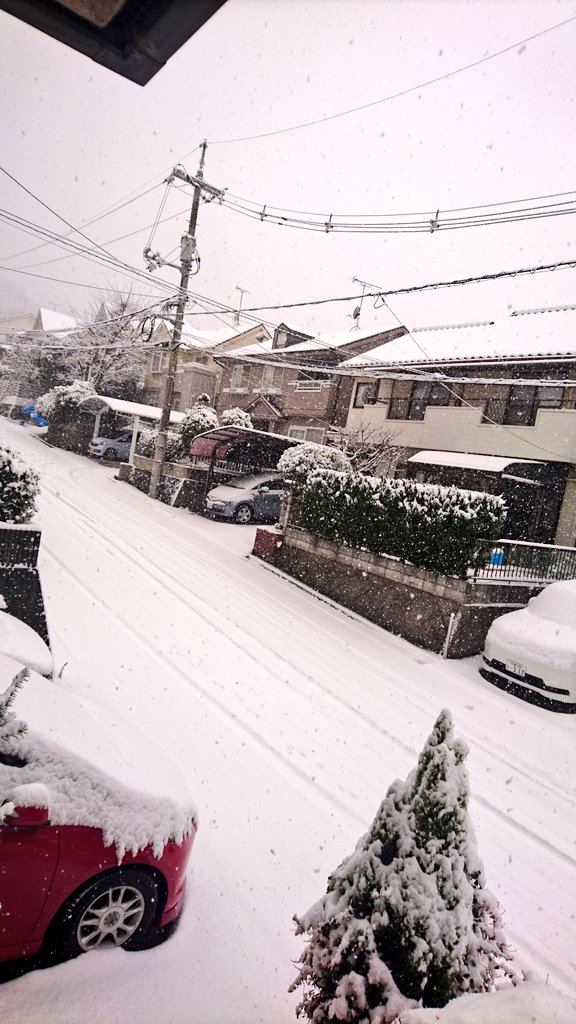 広島県_大雪 (1)