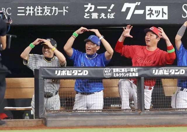 三浦新井