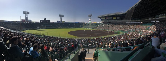 甲子園トライアウト観衆_02
