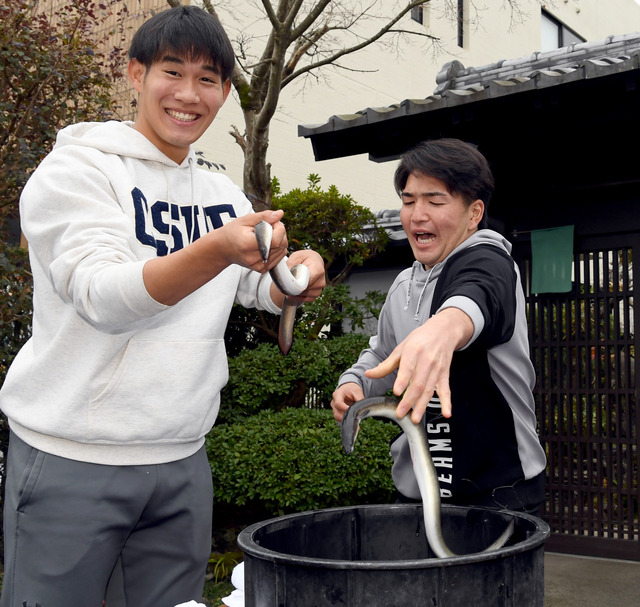 カープ新人が『ウナギ掴み取り』『飫肥城の的当て』に挑戦！ドラ5河野佳「よく見たらウナギの顔が可愛かった」日南市の名物をアピール