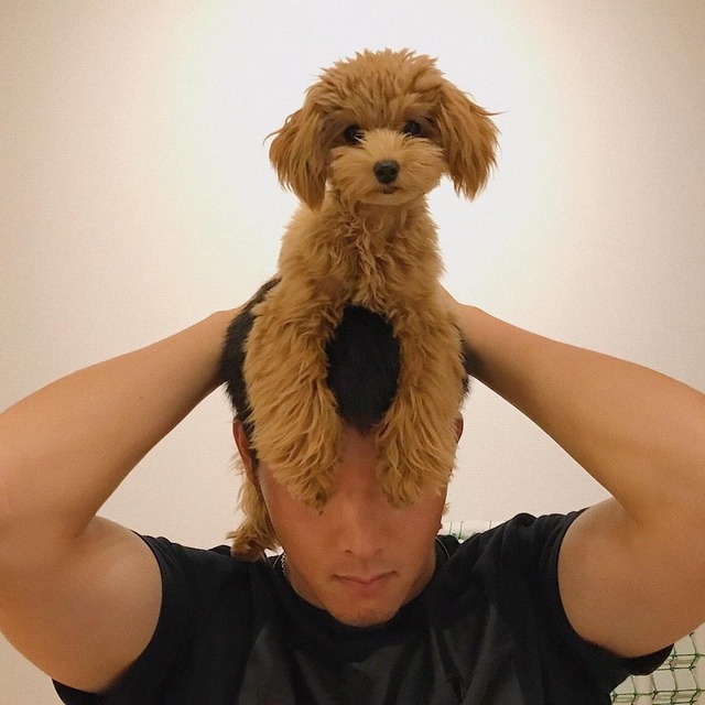 薮田和樹_犬