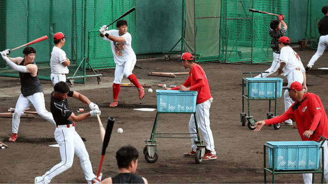 カープ