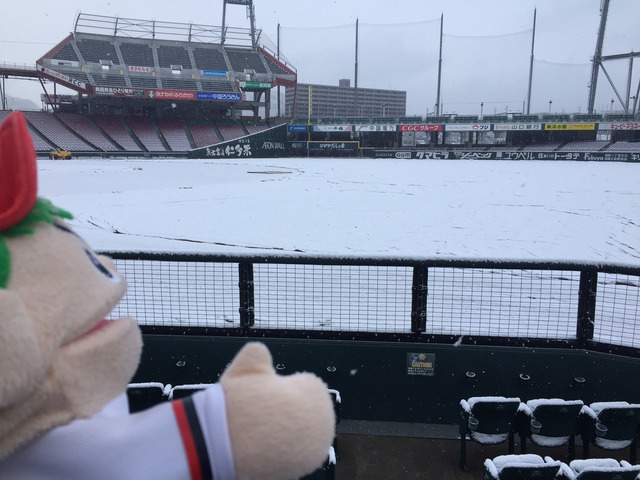 マツダスタジアム_雪_02