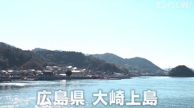 新井貴浩_離島中学生野球部_熱血指導_02