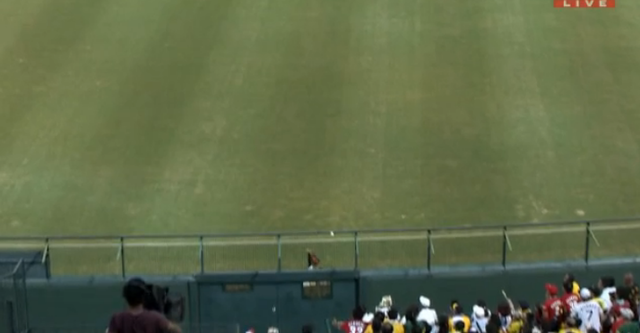 広島阪神20回戦_09