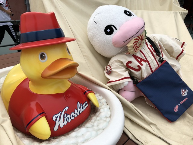 中国新聞_ちゅーピー_ハト