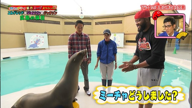 行きたがリーノ_カープお正月_36