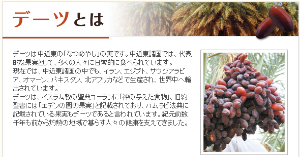 オタフクソースデーツ