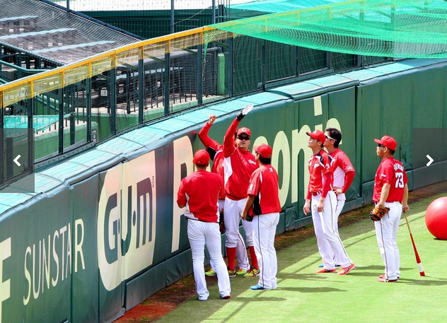 幻のホームラン侵入防止柵