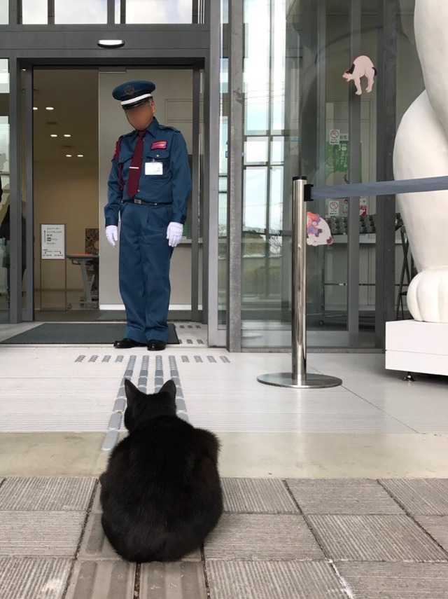 no title