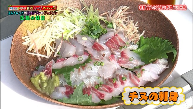 行きたがリーノ_カープお正月_26