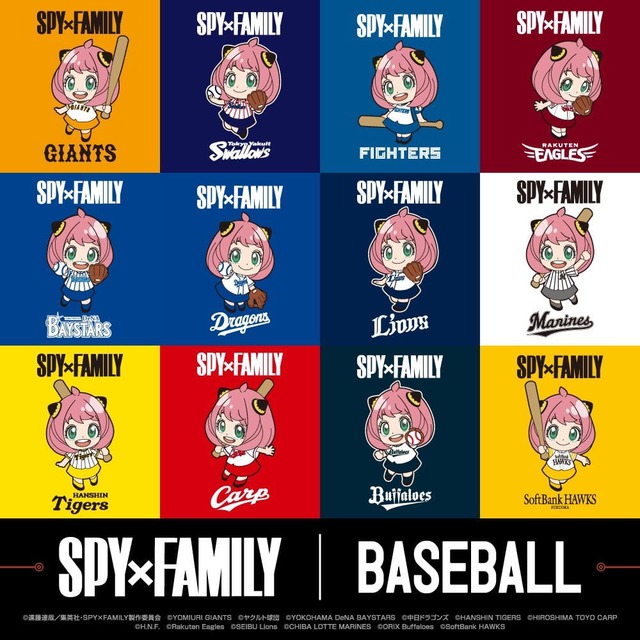 12球団の中で応援するチームはどう選べばいいの?