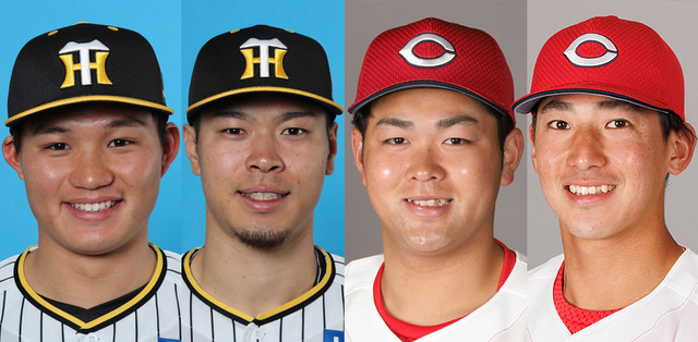 カープ、阪神森下&サトテルの様な『若手大砲』の育成が遅れている問題