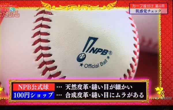 鯉する格付けスタジアム_20