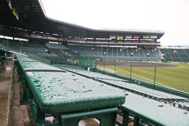 広島阪神戦は雨天中止九里＆藤浪の登板流れる