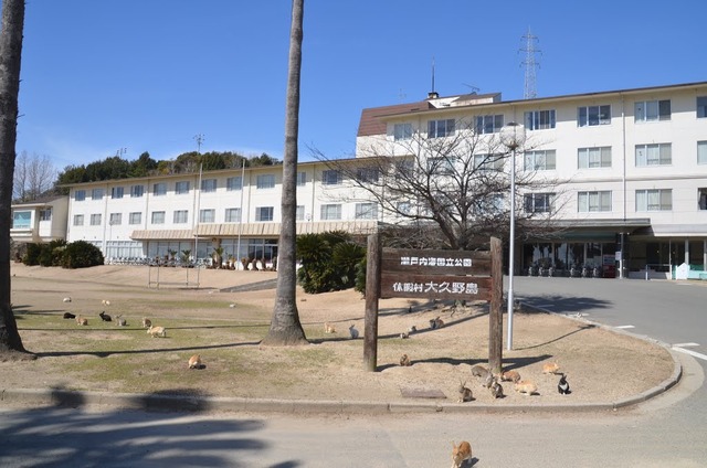 ウサギ島_07