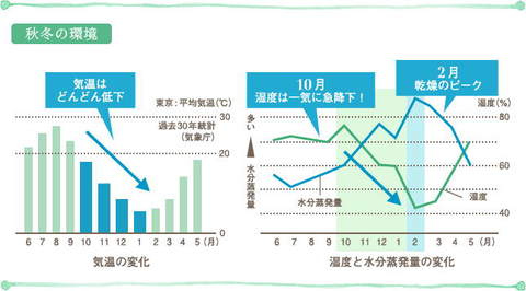 秋冬のかんそう