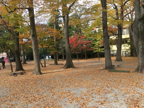 2017-11-05-11-47-52