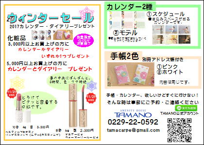 ウィンターセール 案内
