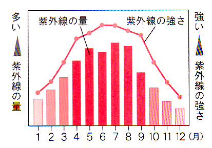 紫外線の話0004