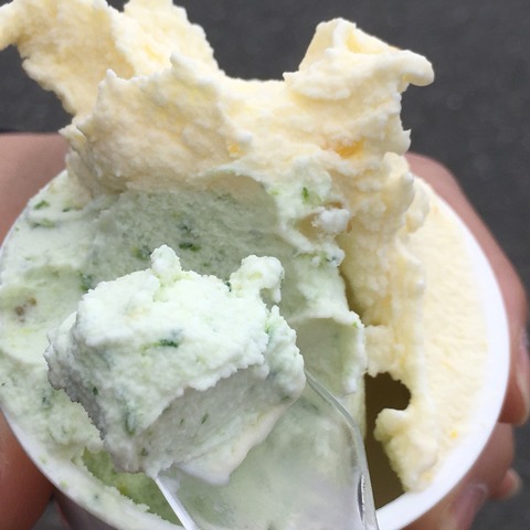 2017-06-04-13-53-56