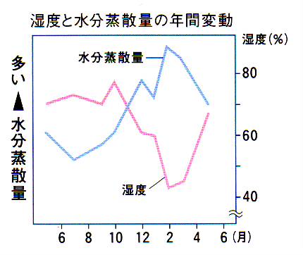 肌環境0001