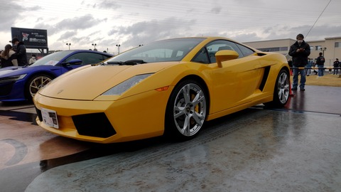 gallardo