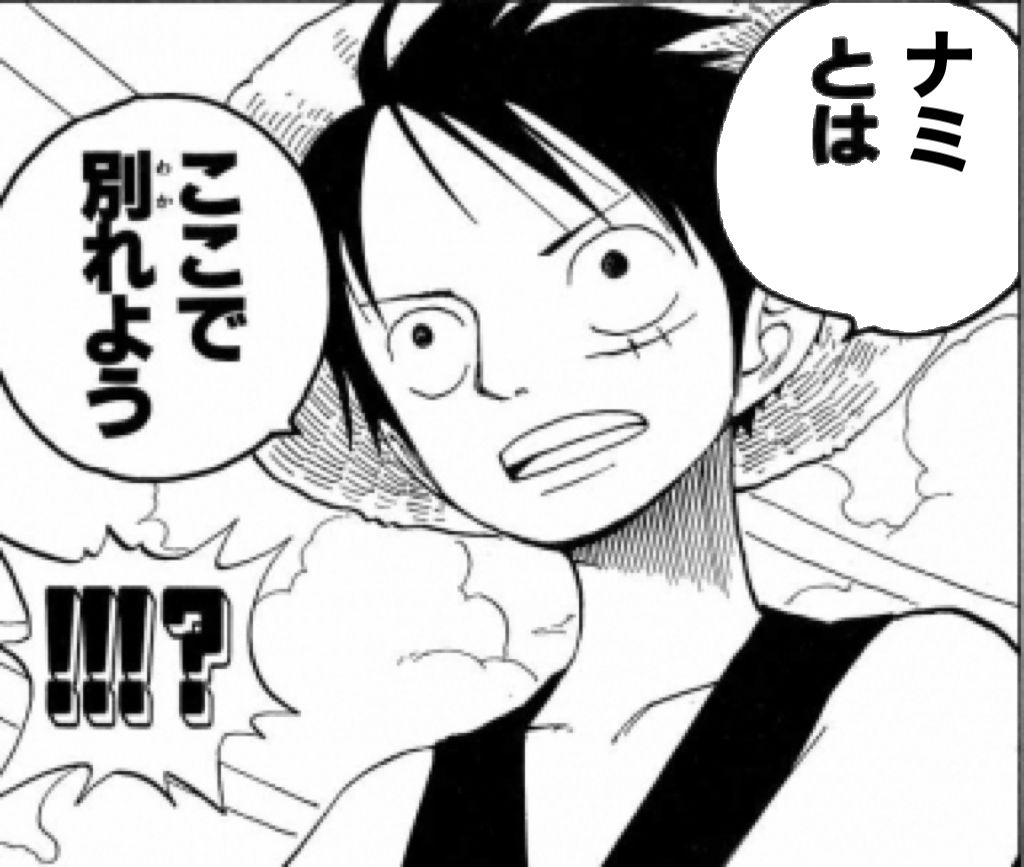 ナミ 中はダメ ルフィ うるせぇ イこう やじゅ速