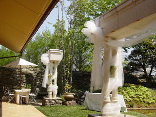 �����ǥ�