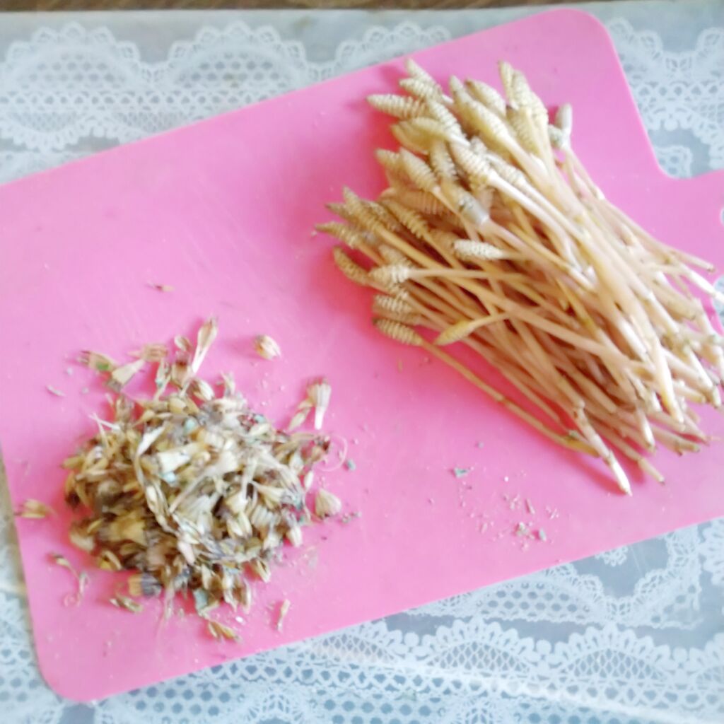 春の御膳つくし炒め煮 魚卵の煮つけ 楽しくおいしくカサブランカおばちゃんの生活日記