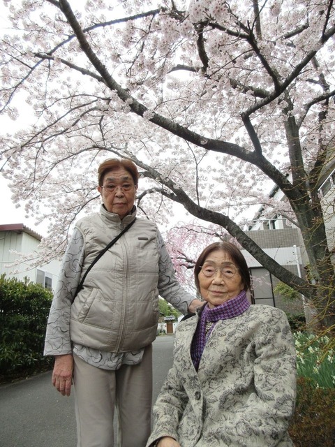 たて