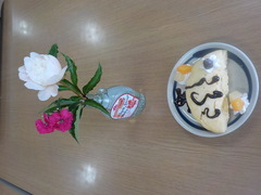 DSCN5784