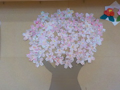DSCN7571