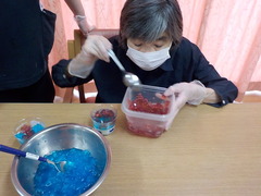 DSCN6073