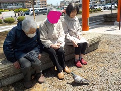 DSCN7846