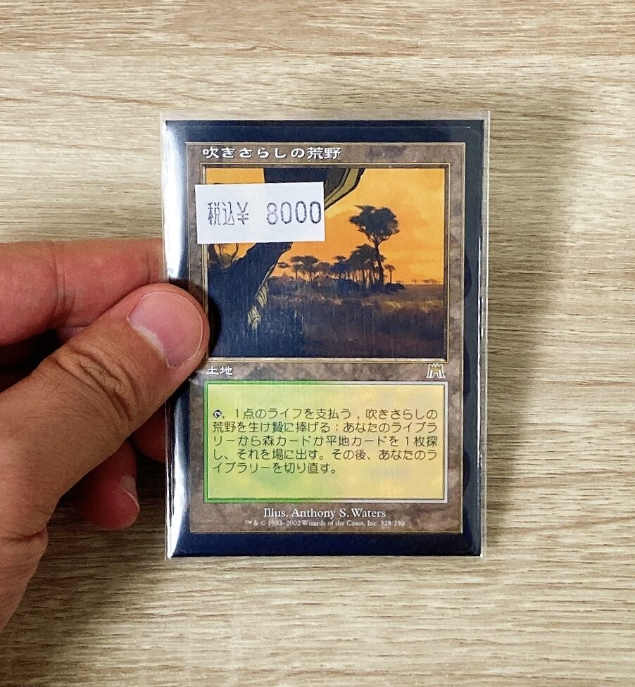 MTG フェッチランド 吹きさらしの荒野4枚-