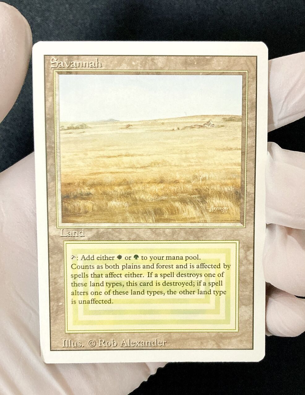 リバイズド開封秘話 : すぷりんぐのblog