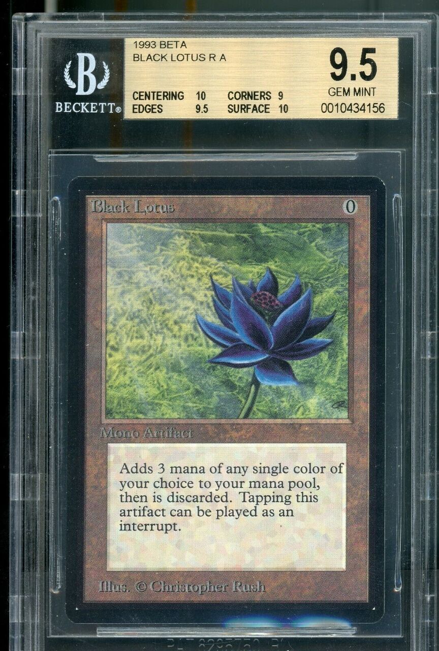 mtgのカードの状態表記について まとめ : すぷりんぐのblog
