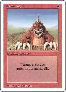 MTG 島 中国語 簡体字 5版 Ⅴ 4種セット ② MTG 島 中国語 簡体字 5版 Ⅴ 4種セット ② MTG 島 中国語