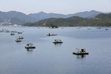 内の海釣り