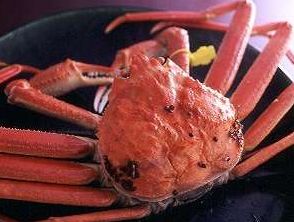 カニに付いている 黒い粒 の正体は カニビル つれづれフォト日記