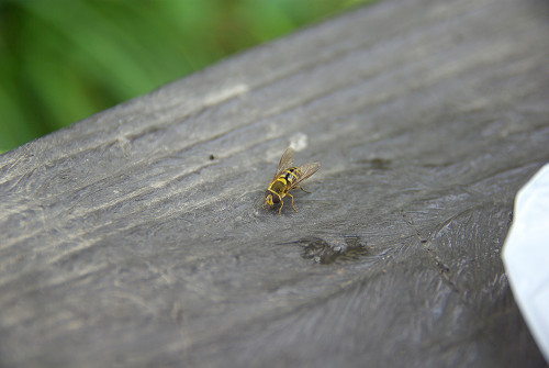 01445d7c.jpg