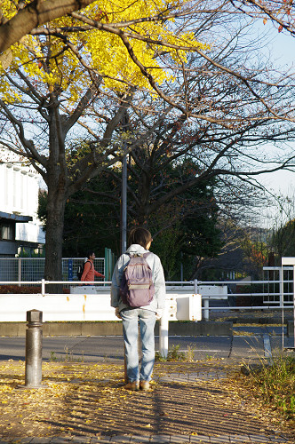 IMGP2626s