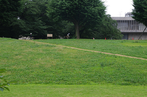 11b2f184.jpg