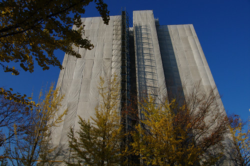 IMGP2619s