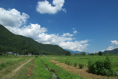 63e47091.jpg