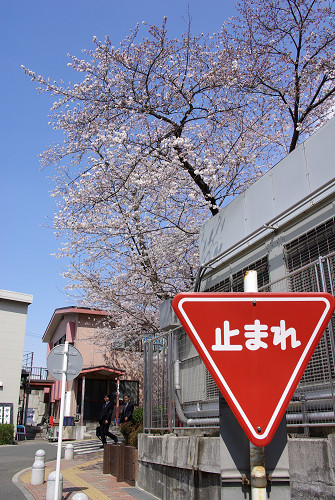 74a6b1d4.jpg