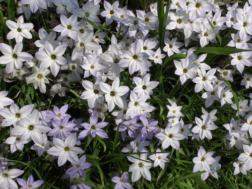 7d63106c.jpg