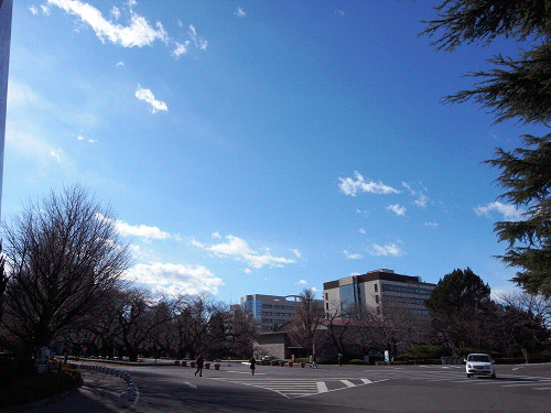 bd4b3b63.jpg